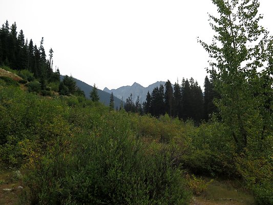 Bridge creek usfs trailhead - 28