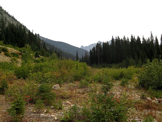 Bridge creek usfs trailhead - 81