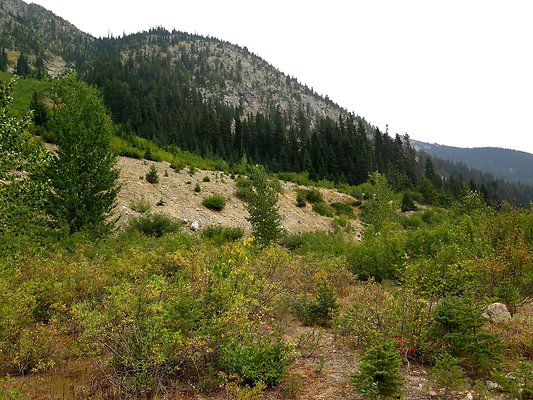 Bridge creek usfs trailhead - 80