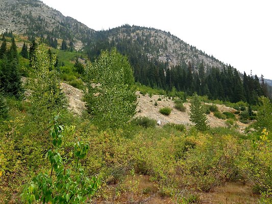 Bridge creek usfs trailhead - 8