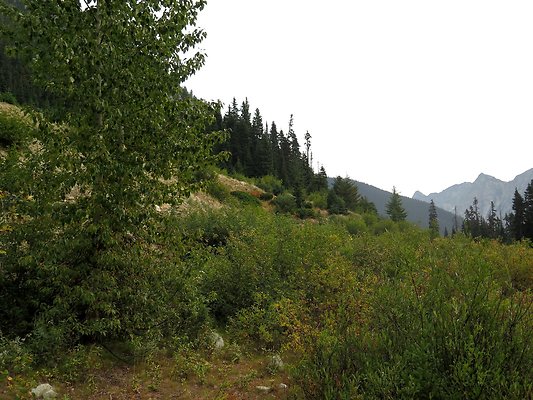 Bridge creek usfs trailhead - 27