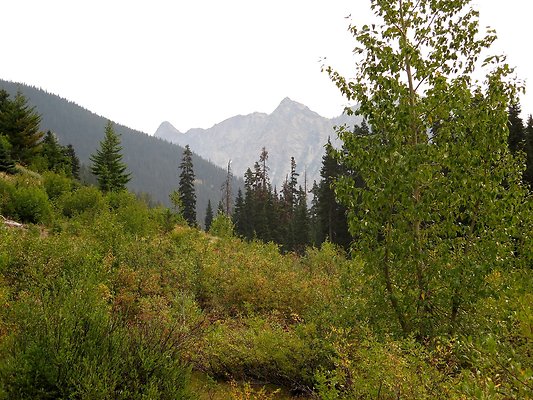 Bridge creek usfs trailhead - 73