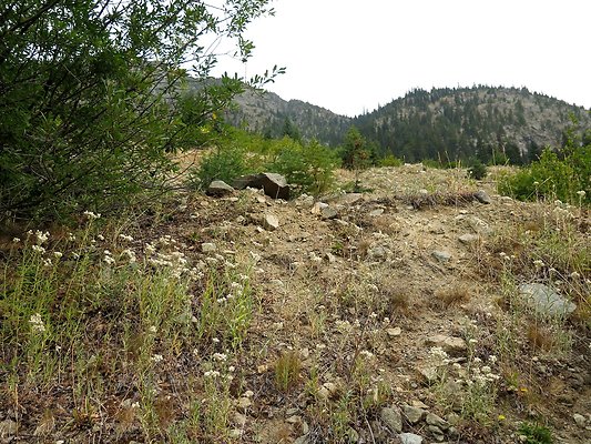 Bridge creek usfs trailhead - 39