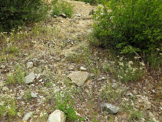 Bridge creek usfs trailhead - 31