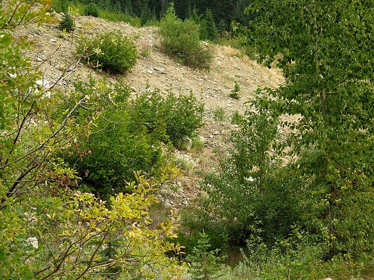Bridge creek usfs trailhead - 71