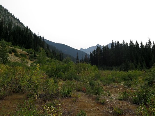 Bridge creek usfs trailhead - 9