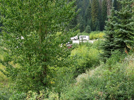 Bridge creek usfs trailhead - 57