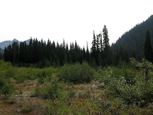 Bridge creek usfs trailhead - 10