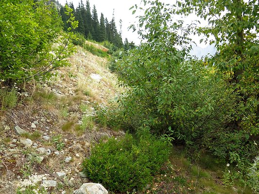 Bridge creek usfs trailhead - 33