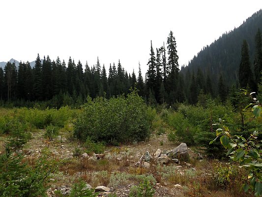 Bridge creek usfs trailhead - 82