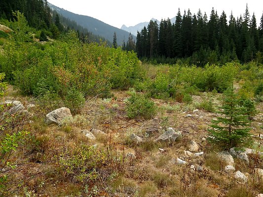 Bridge creek usfs trailhead - 78