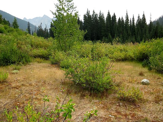 Bridge creek usfs trailhead - 74