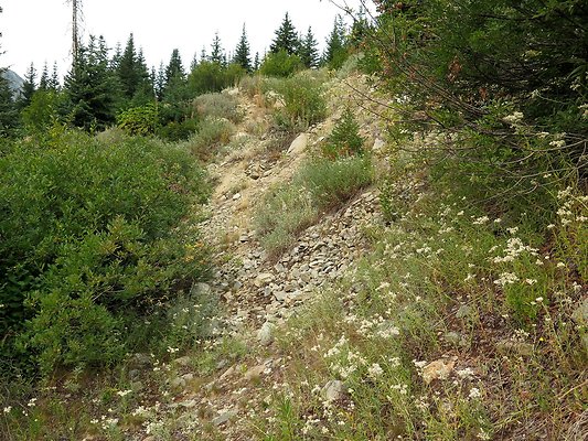 Bridge creek usfs trailhead - 34
