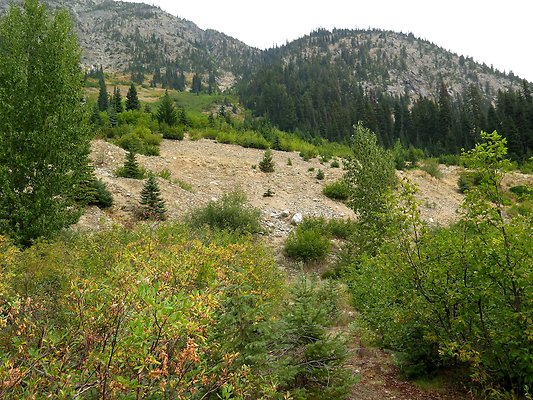 Bridge creek usfs trailhead - 15