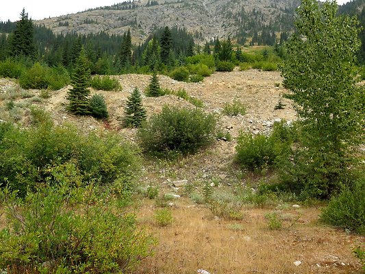 Bridge creek usfs trailhead - 67