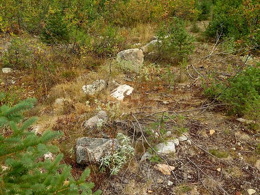 Bridge creek usfs trailhead - 12