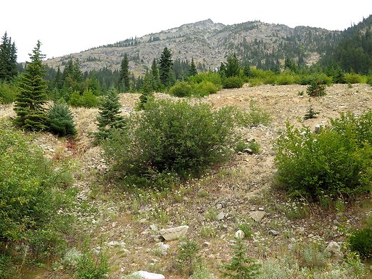 Bridge creek usfs trailhead - 25