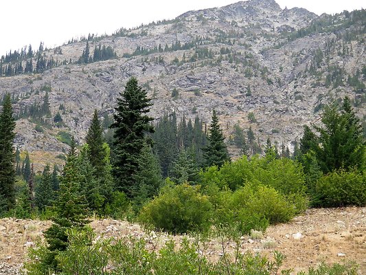 Bridge creek usfs trailhead - 24