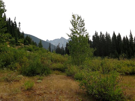 Bridge creek usfs trailhead - 70