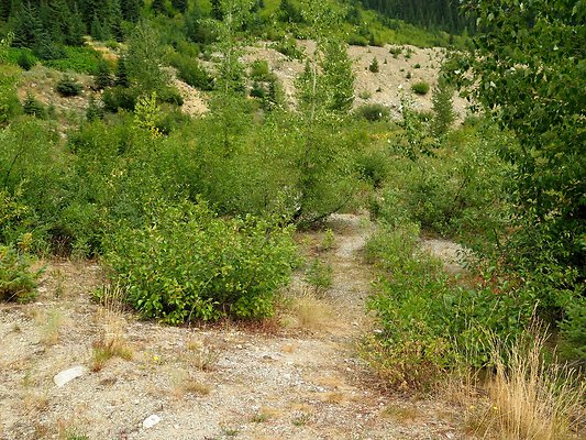 Bridge creek usfs trailhead - 5