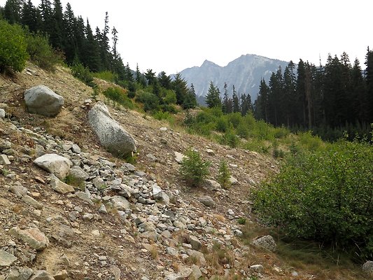 Bridge creek usfs trailhead - 52