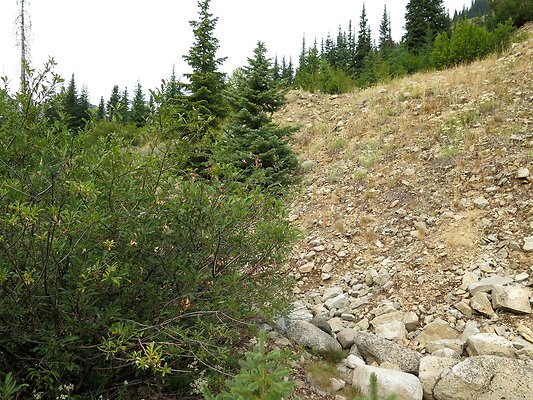 Bridge creek usfs trailhead - 46