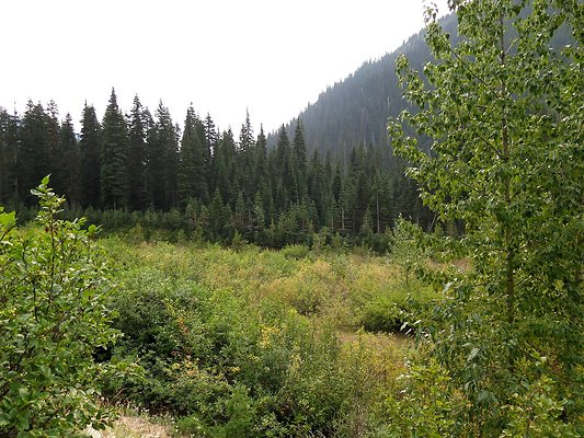 Bridge creek usfs trailhead - 42