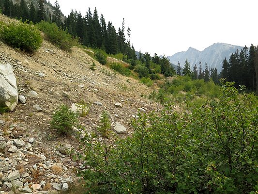 Bridge creek usfs trailhead - 51