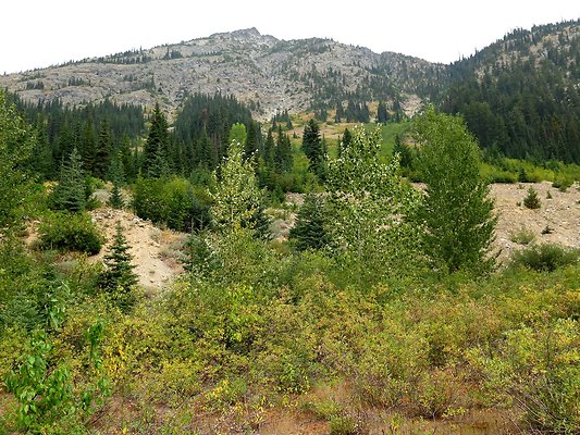 Bridge creek usfs trailhead - 79