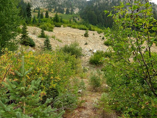 Bridge creek usfs trailhead - 16