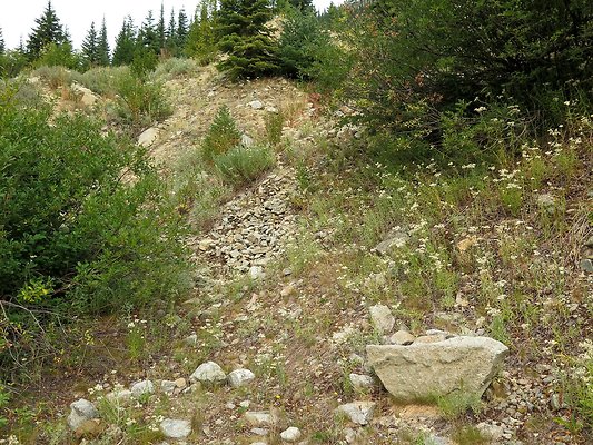 Bridge creek usfs trailhead - 29