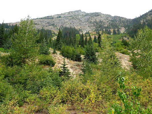 Bridge creek usfs trailhead - 7