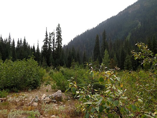 Bridge creek usfs trailhead - 83