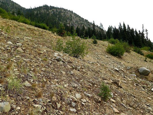 Bridge creek usfs trailhead - 54