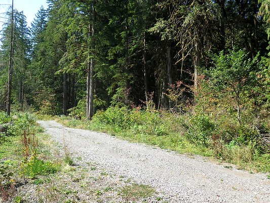 Excelcior Group campsite - 37