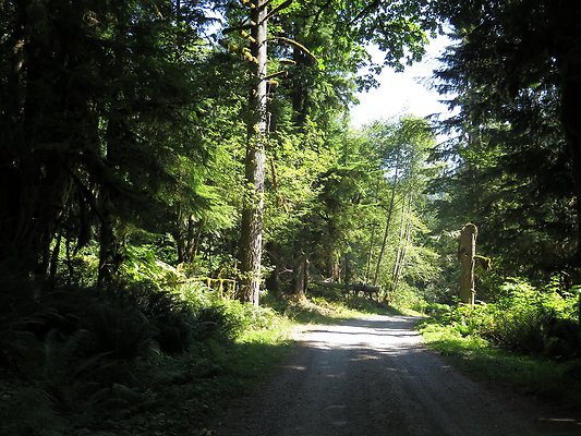 Excelcior Group campsite - 7