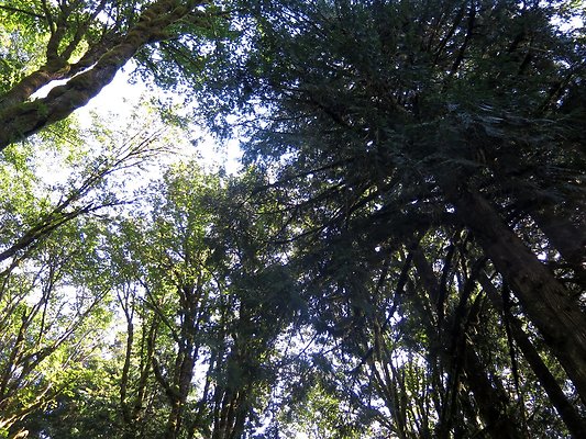 Excelcior Group campsite - 3
