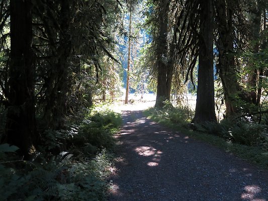 Excelcior Group campsite - 31