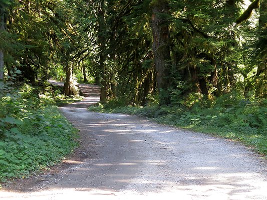 Excelcior Group campsite - 12