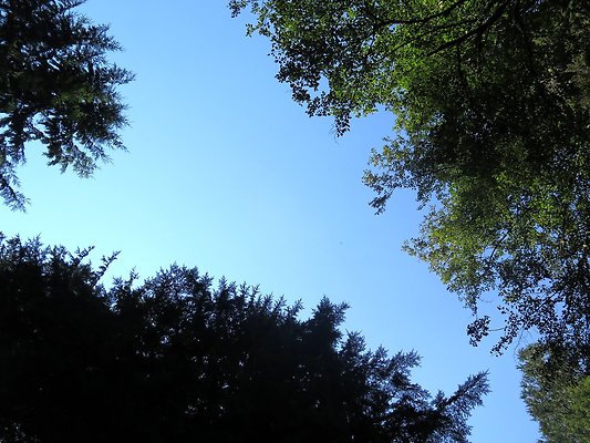 Excelcior Group campsite - 26