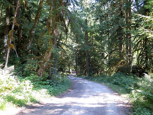 Excelcior Group campsite - 11