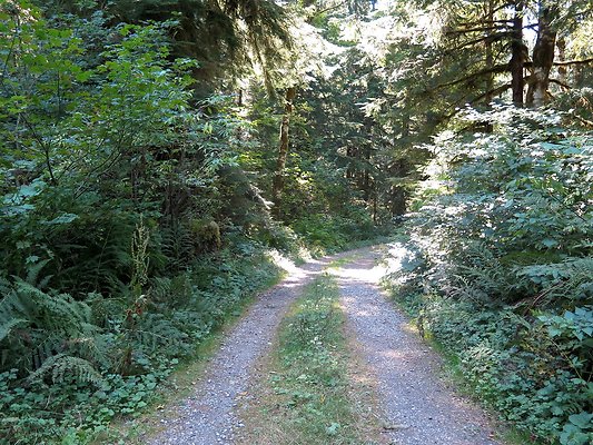 Excelcior Group campsite - 19