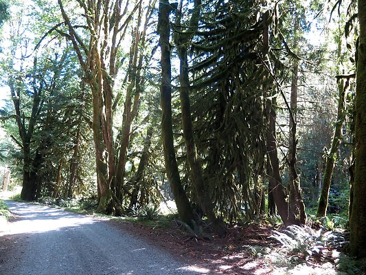 Excelcior Group campsite - 6