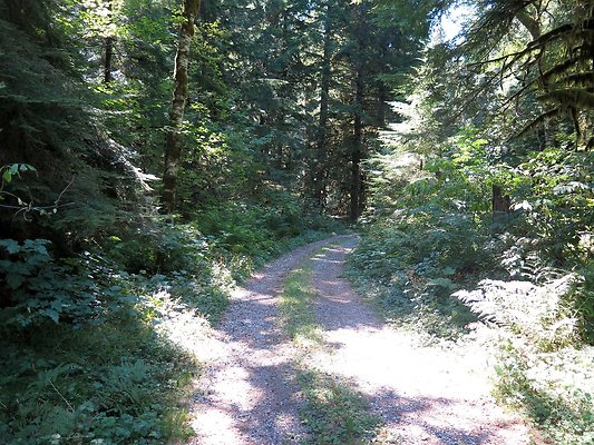 Excelcior Group campsite - 20