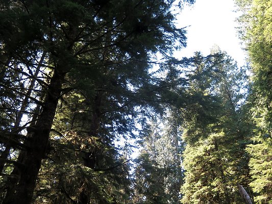Excelcior Group campsite - 25
