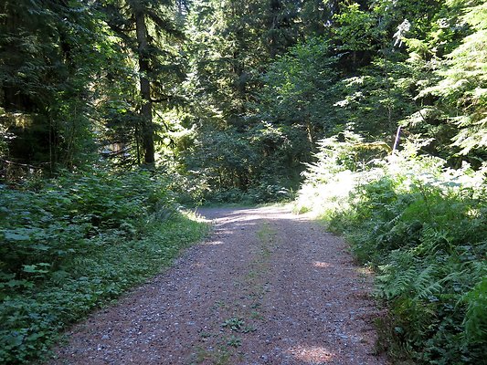 Excelcior Group campsite - 28