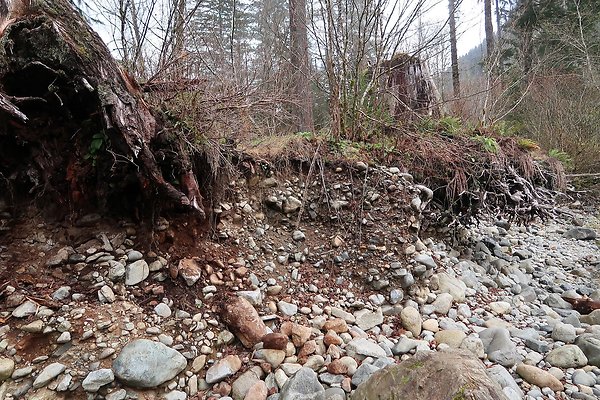 Middle Fork Campsite 2 - 24