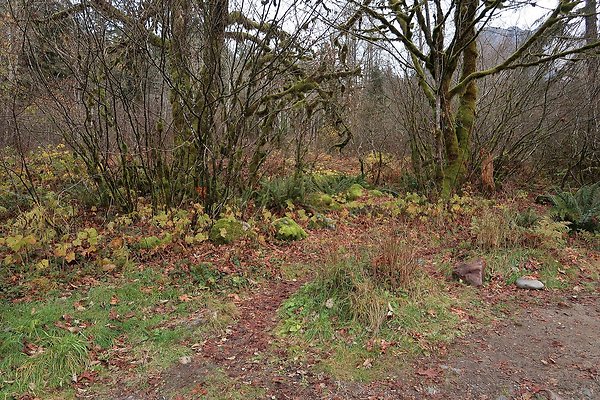 Middle Fork Campsite 2 - 18