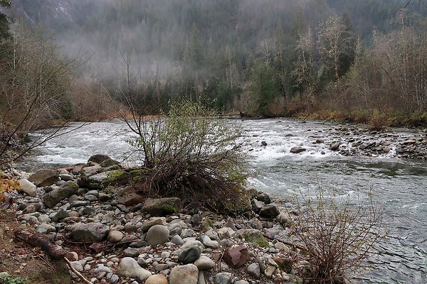 Middle Fork Campsite 2 - 21