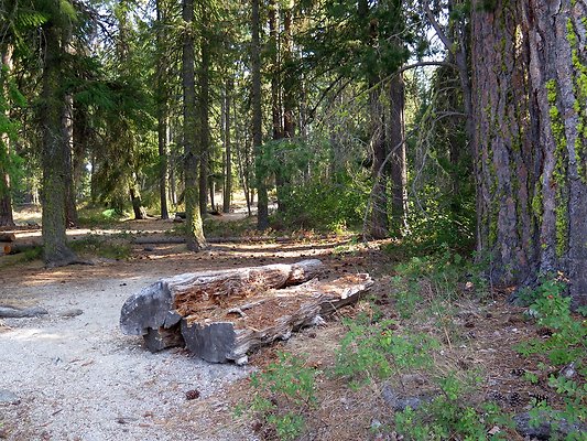 Lake Wenatchee - 39